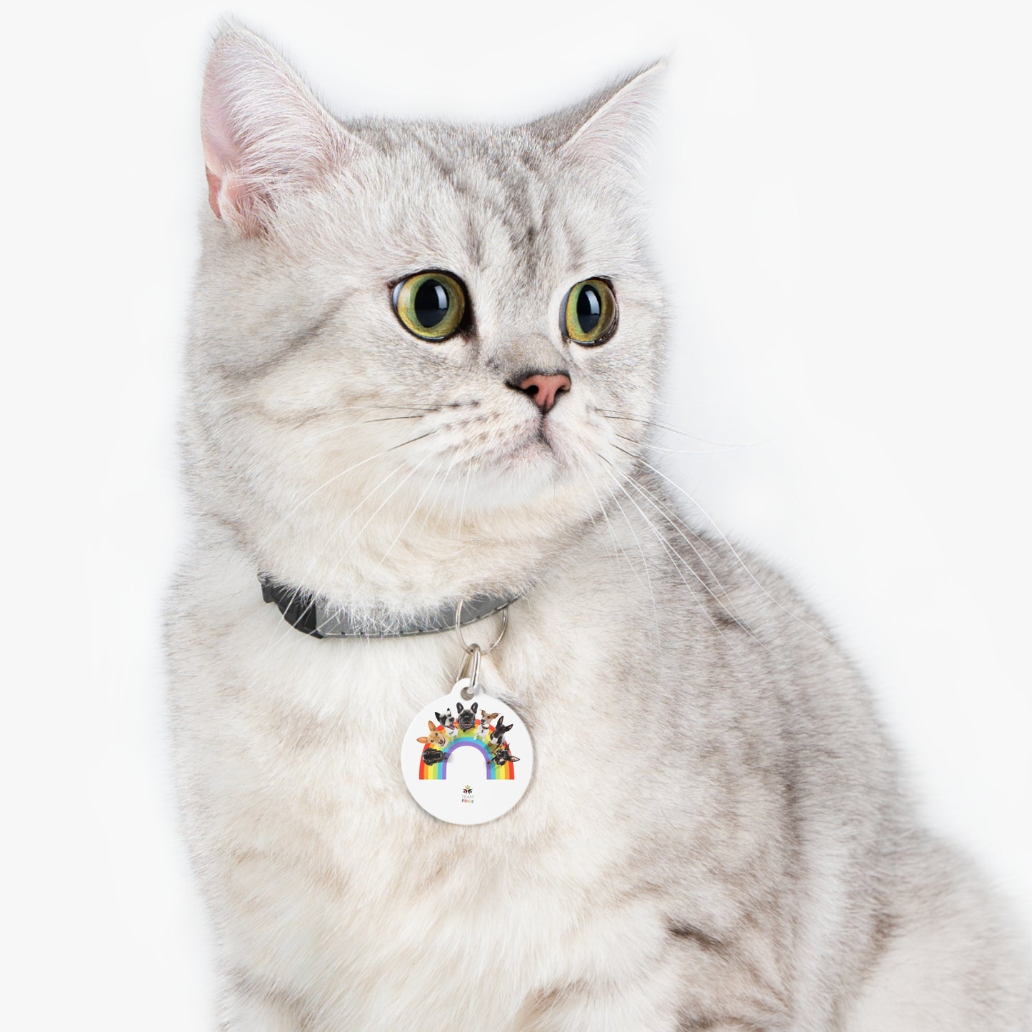 gay pride Pet Tag