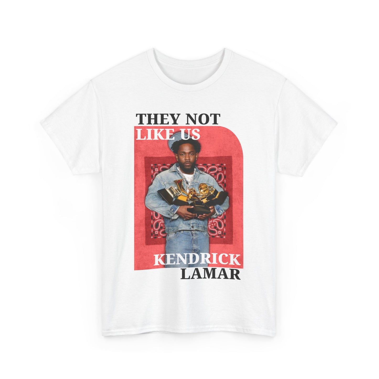 Graphic Tee - Kendrick Lamar 5 Grammy Awards Not Like Us