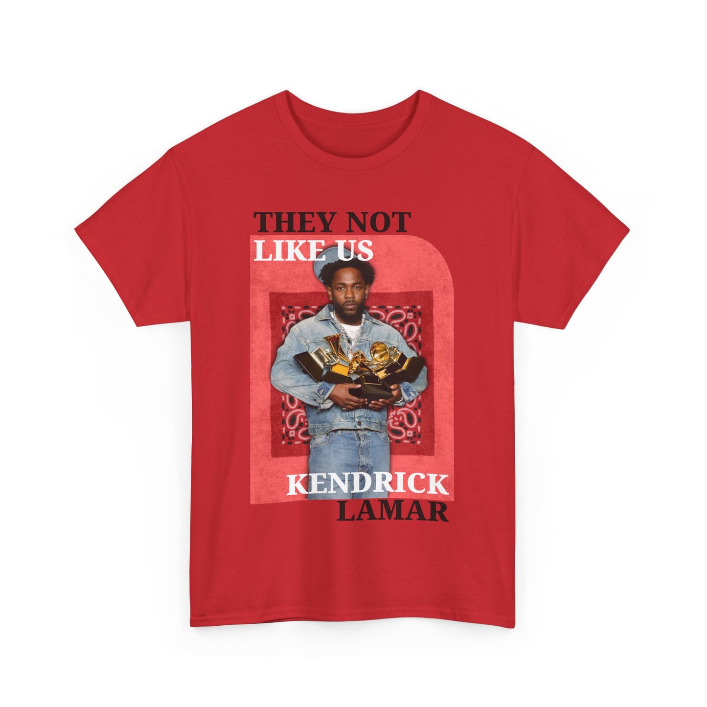 Graphic Tee - Kendrick Lamar 5 Grammy Awards Not Like Us