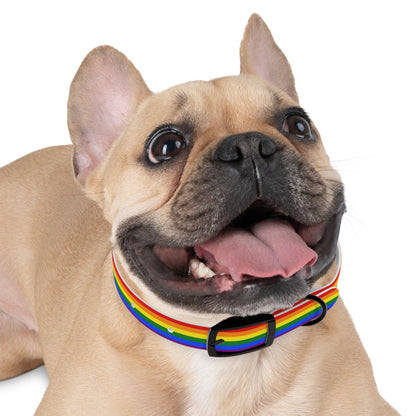 Pride Flag Dog Collar
