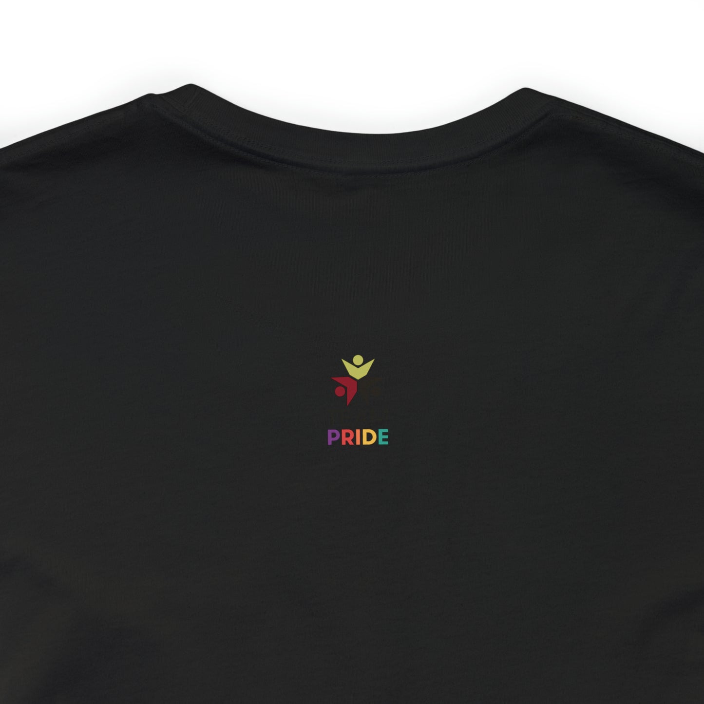 gay pride unisex tee