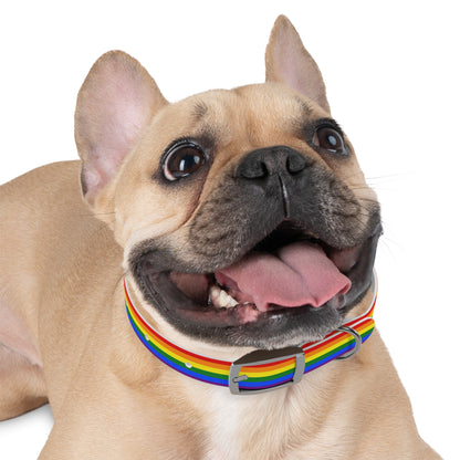 Pride Flag Dog Collar