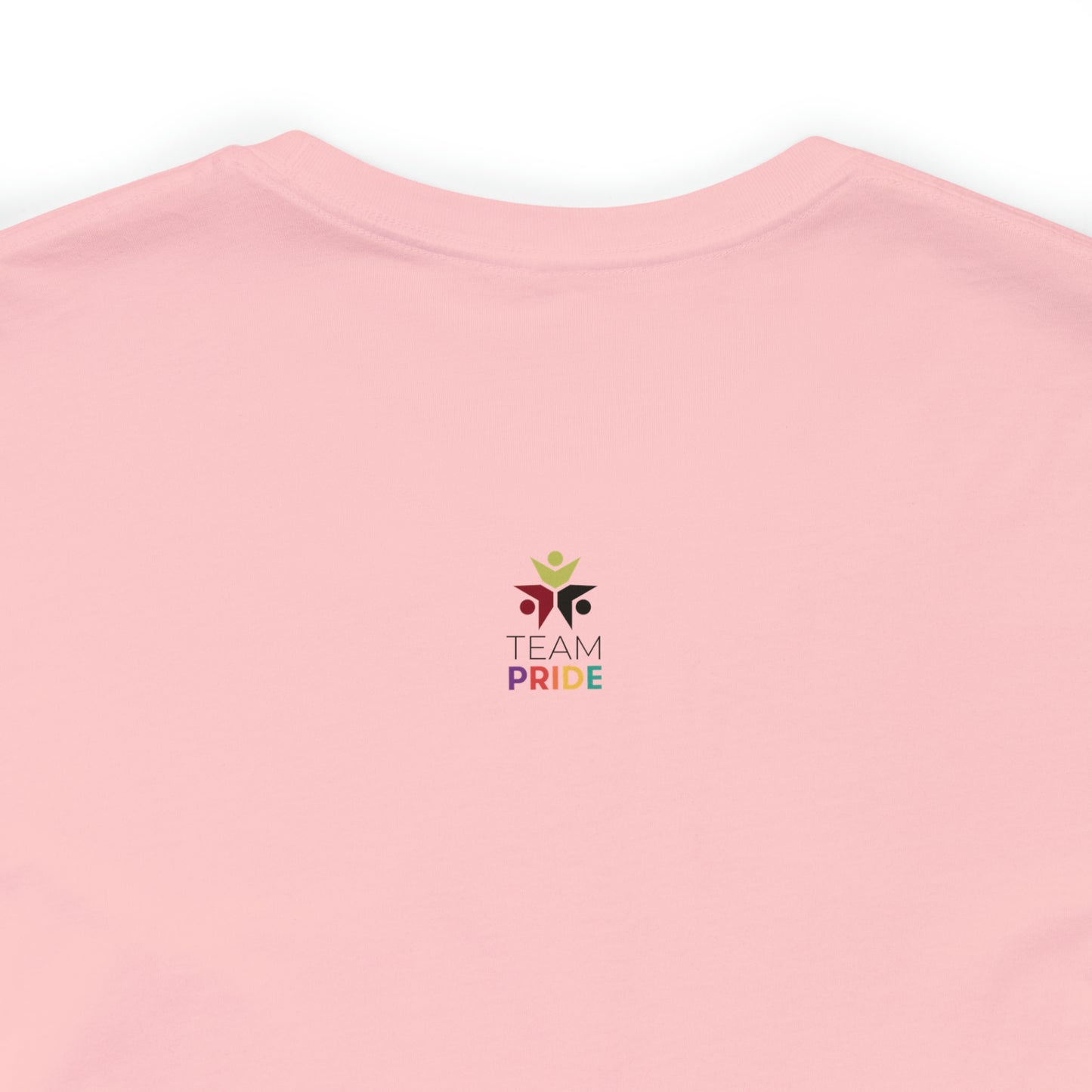 gay pride unisex tee