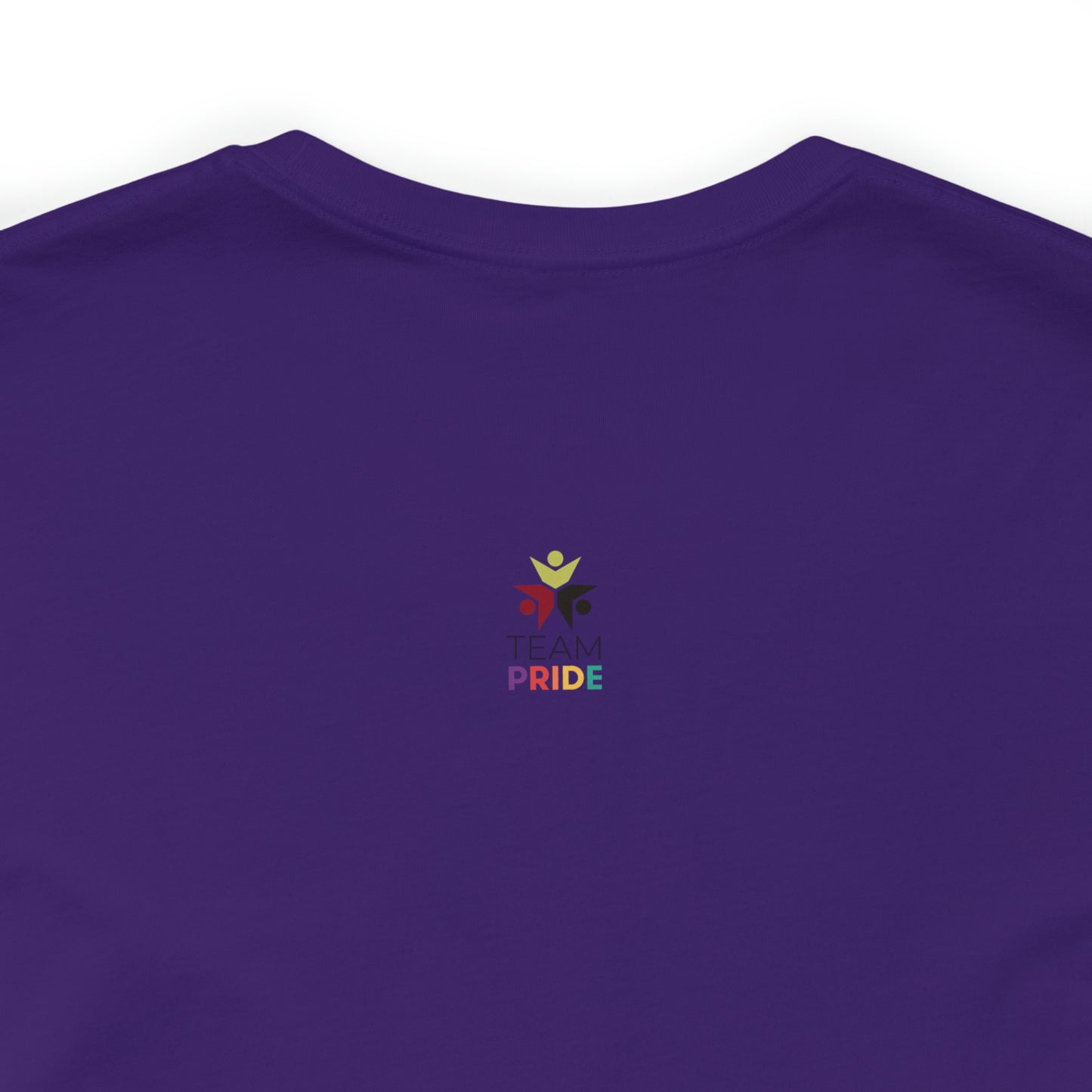 gay pride unisex tee