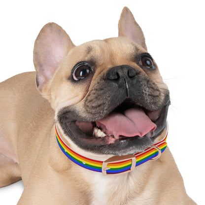 Pride Flag Dog Collar