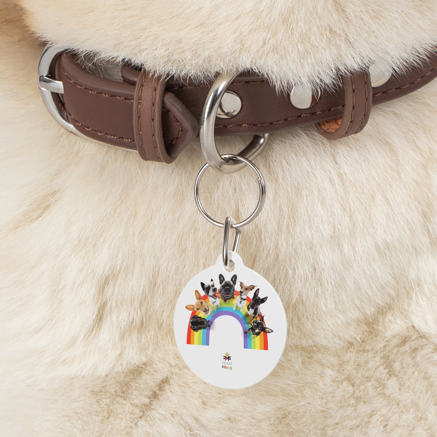 gay pride Pet Tag