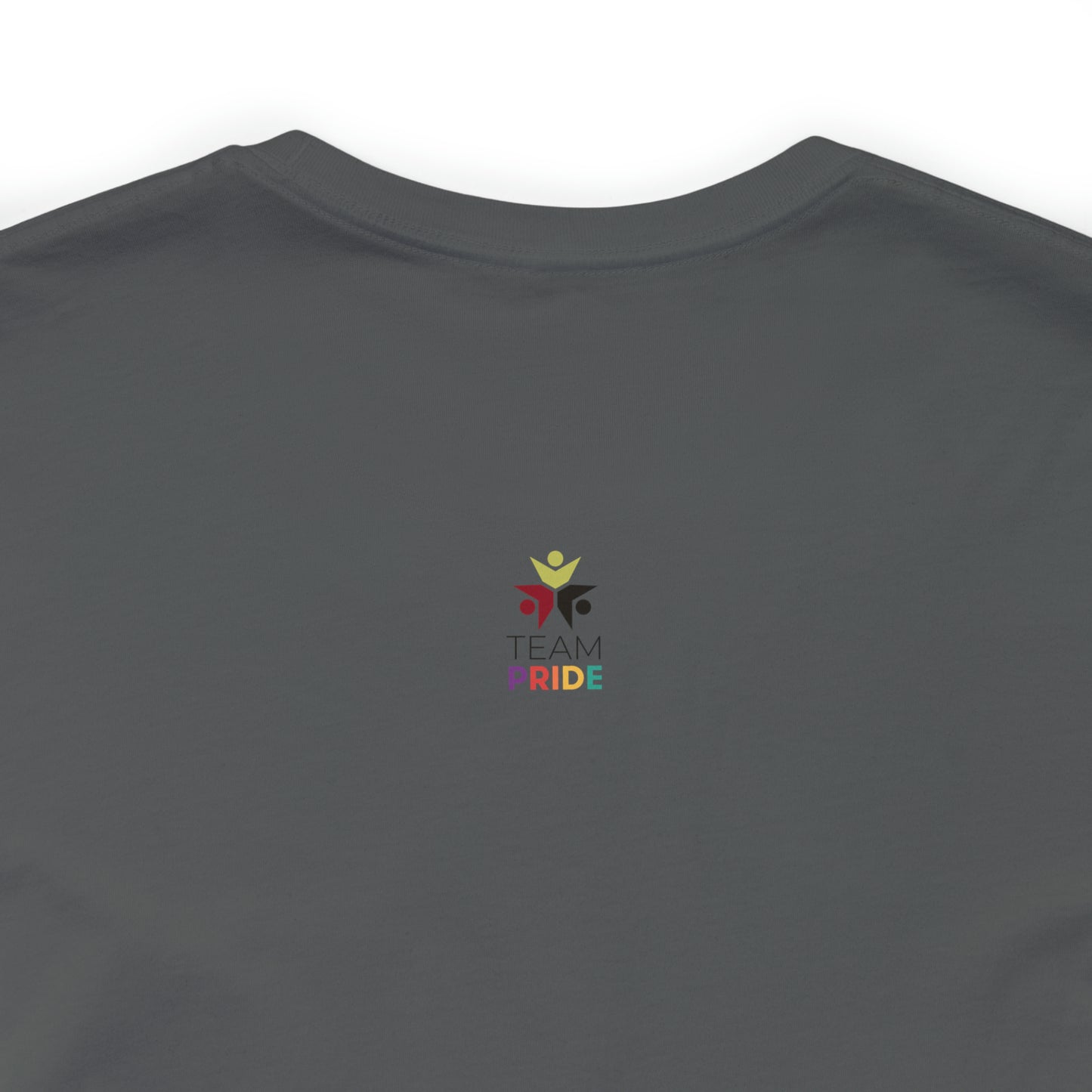 gay pride unisex tee