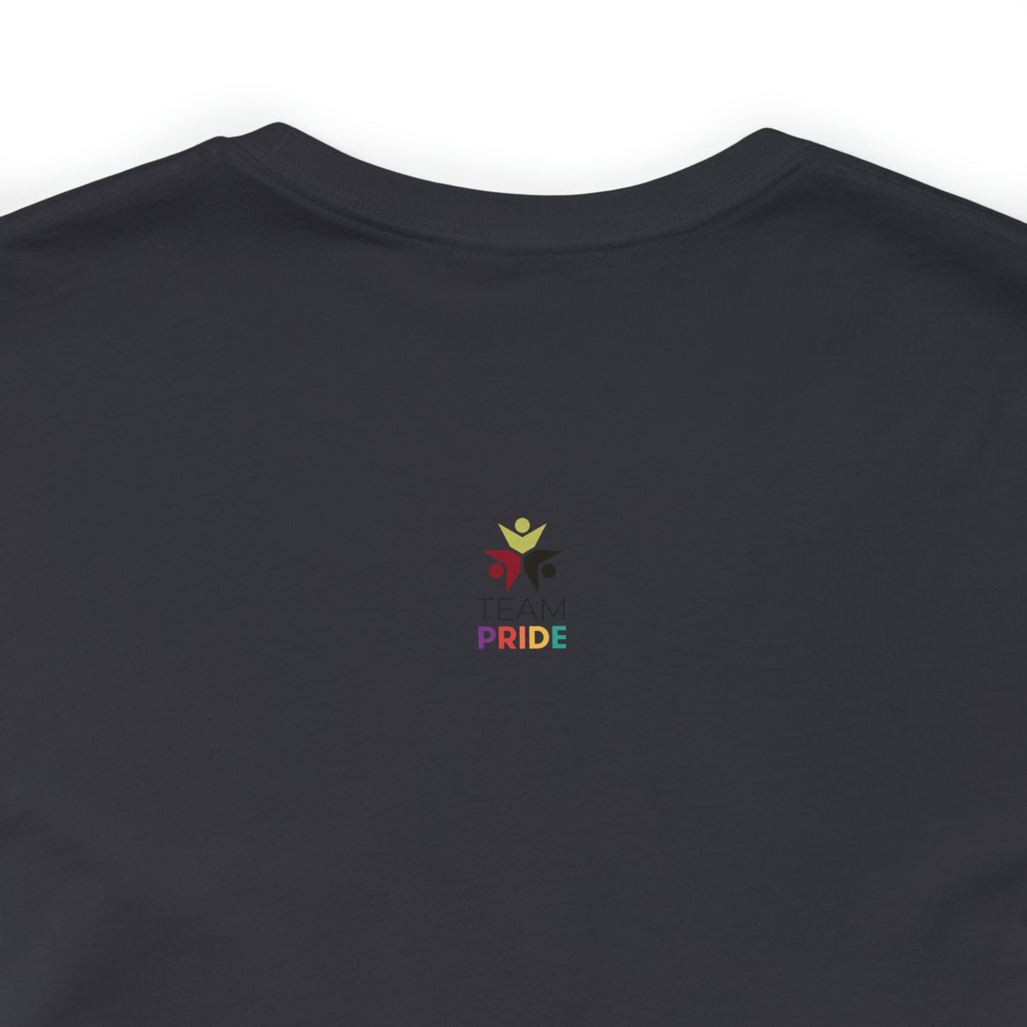 gay pride unisex tee