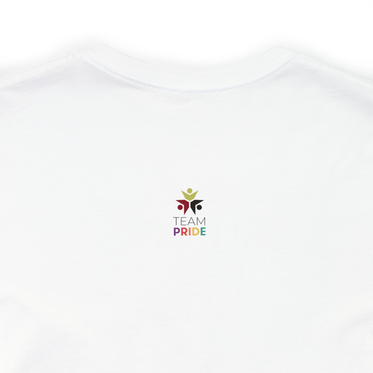 gay pride unisex tee