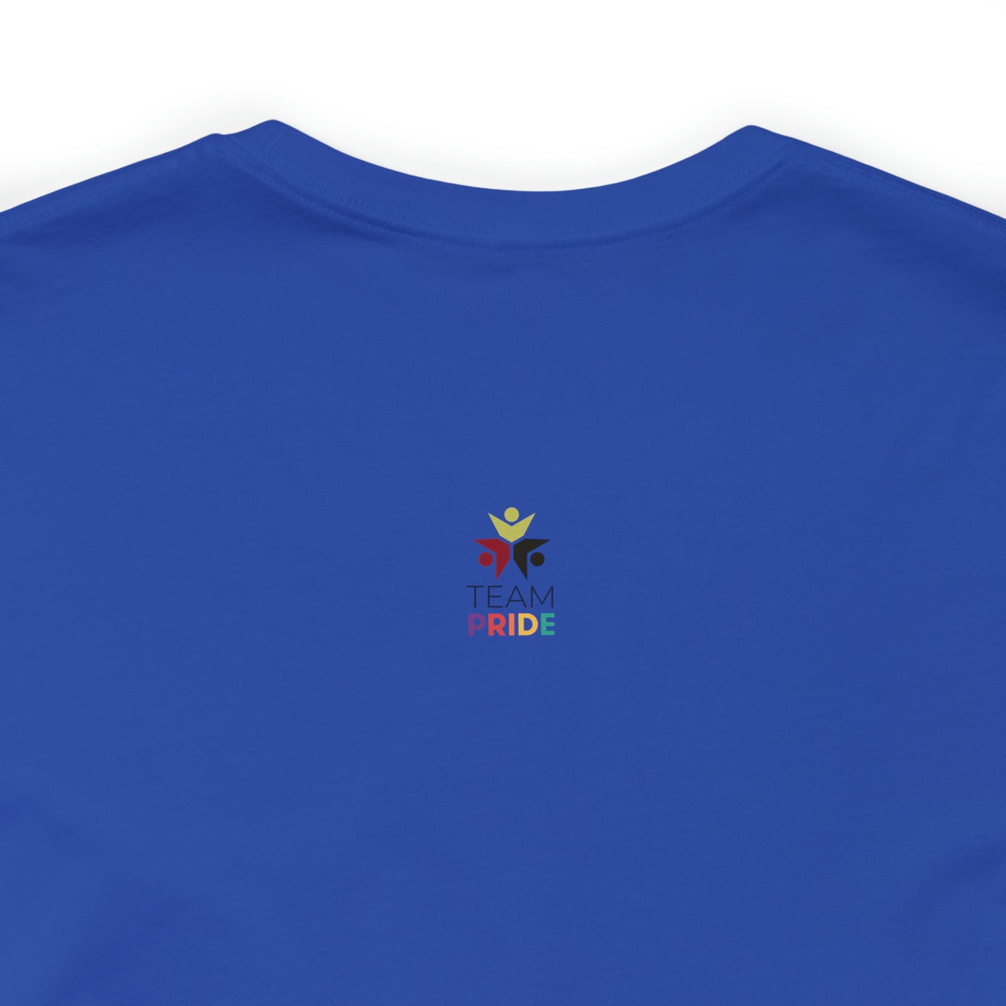 gay pride unisex tee