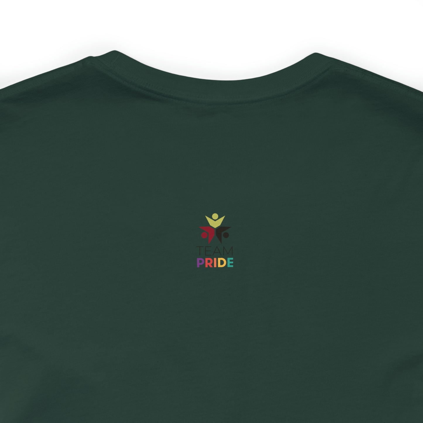 gay pride unisex tee