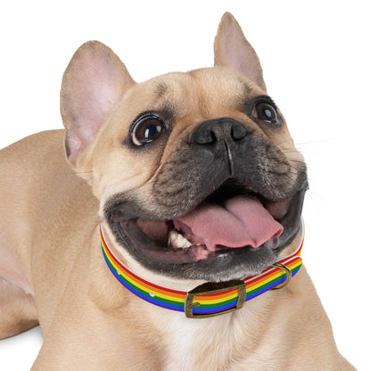 Pride Flag Dog Collar